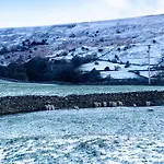 Hobsons Grinton