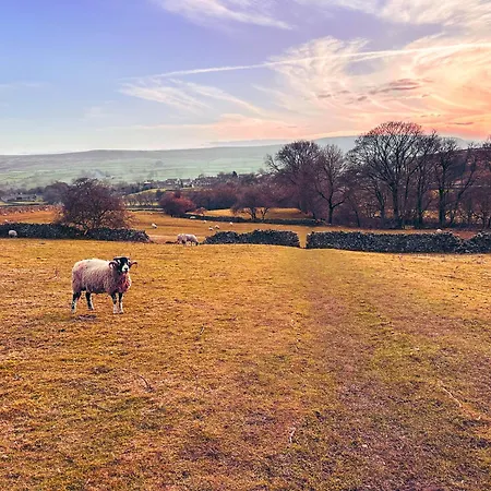 Dom wakacyjny Hobsons